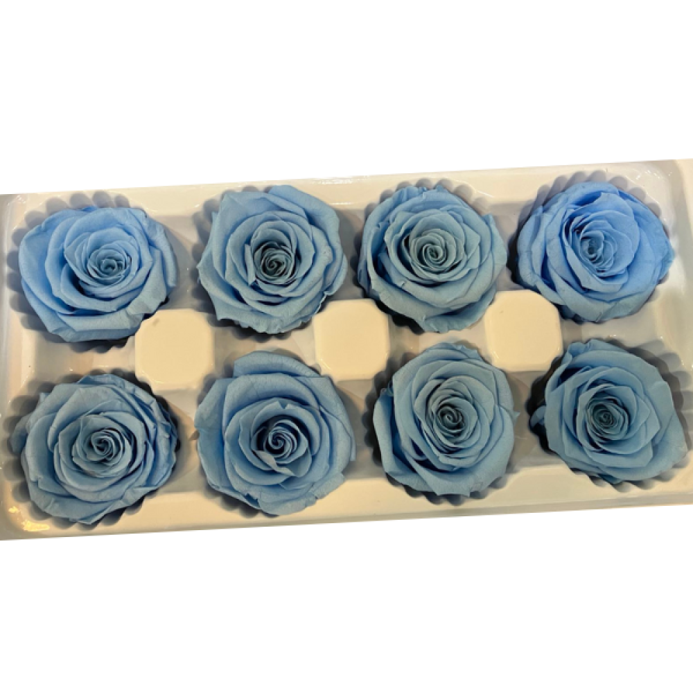 Preserved Roses Blue | Long lasting Roses